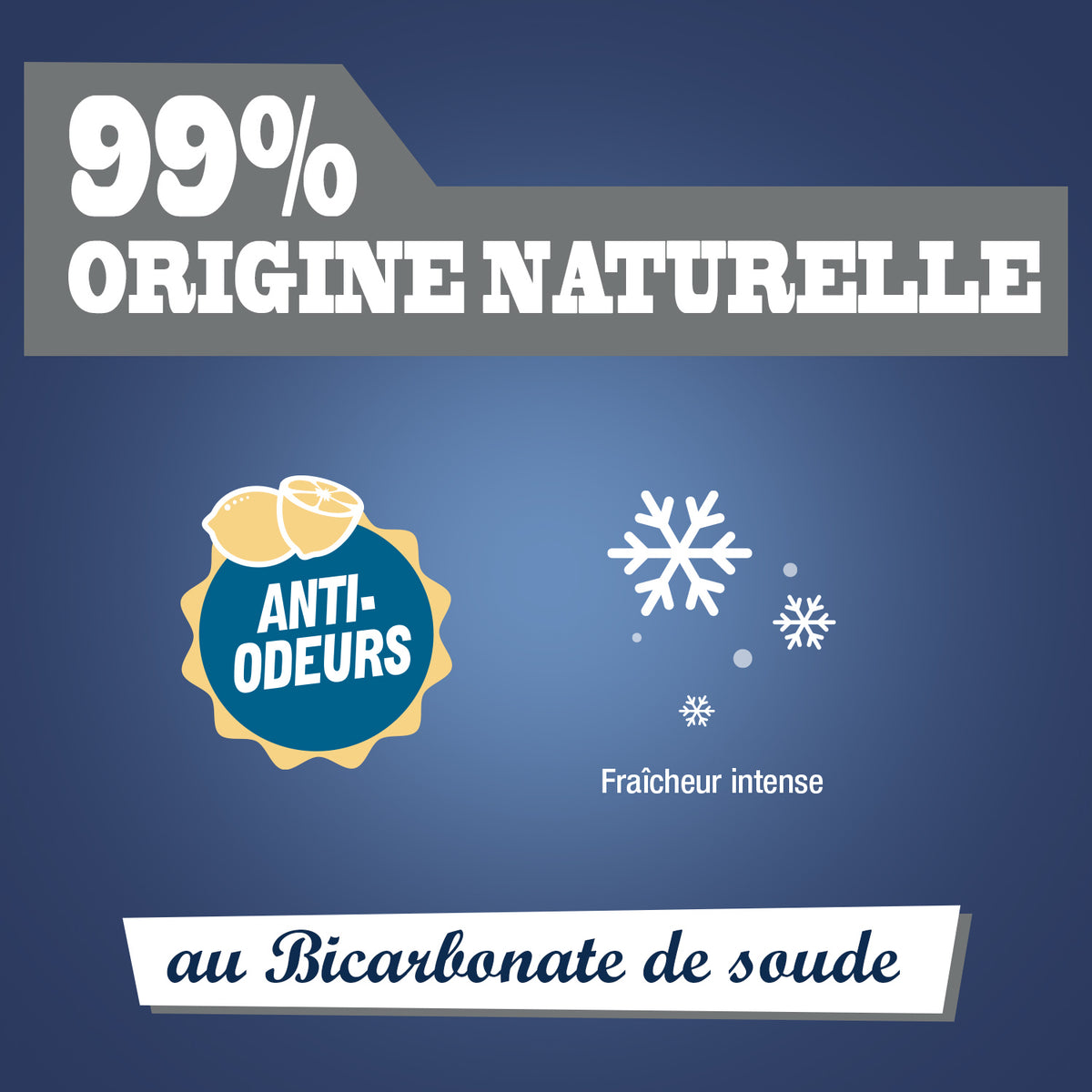 JACQUES BRIOCHIN - Désodorisant chaussures au bicarbonate 200ml Parfum citron