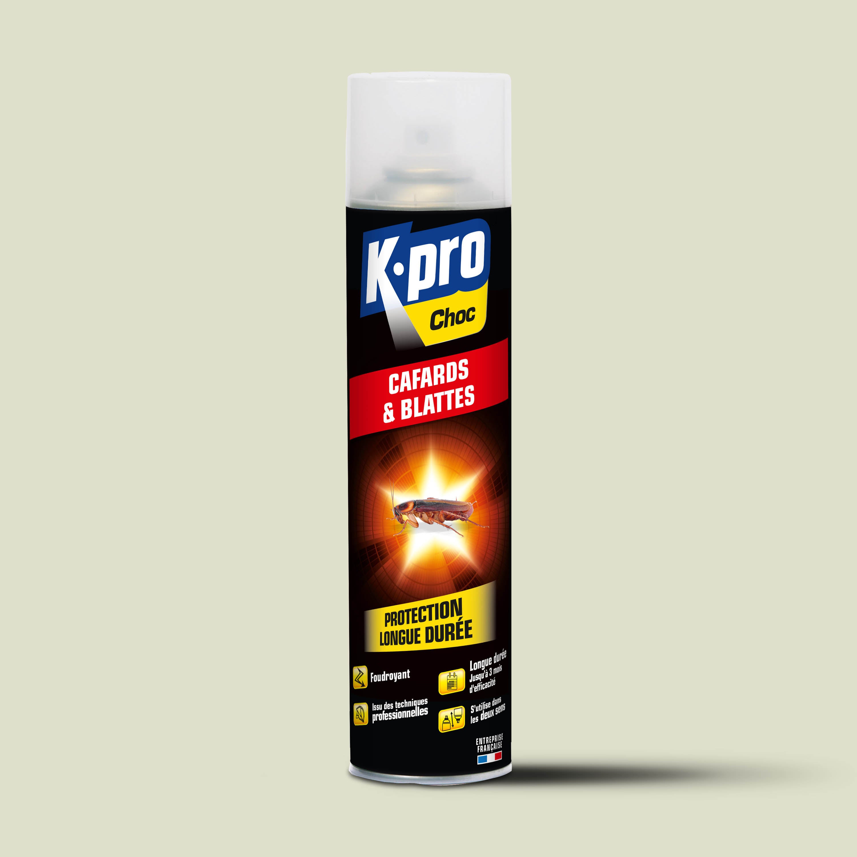 K.PRO - Aérosol foudroyant cafards et blattes
400ml