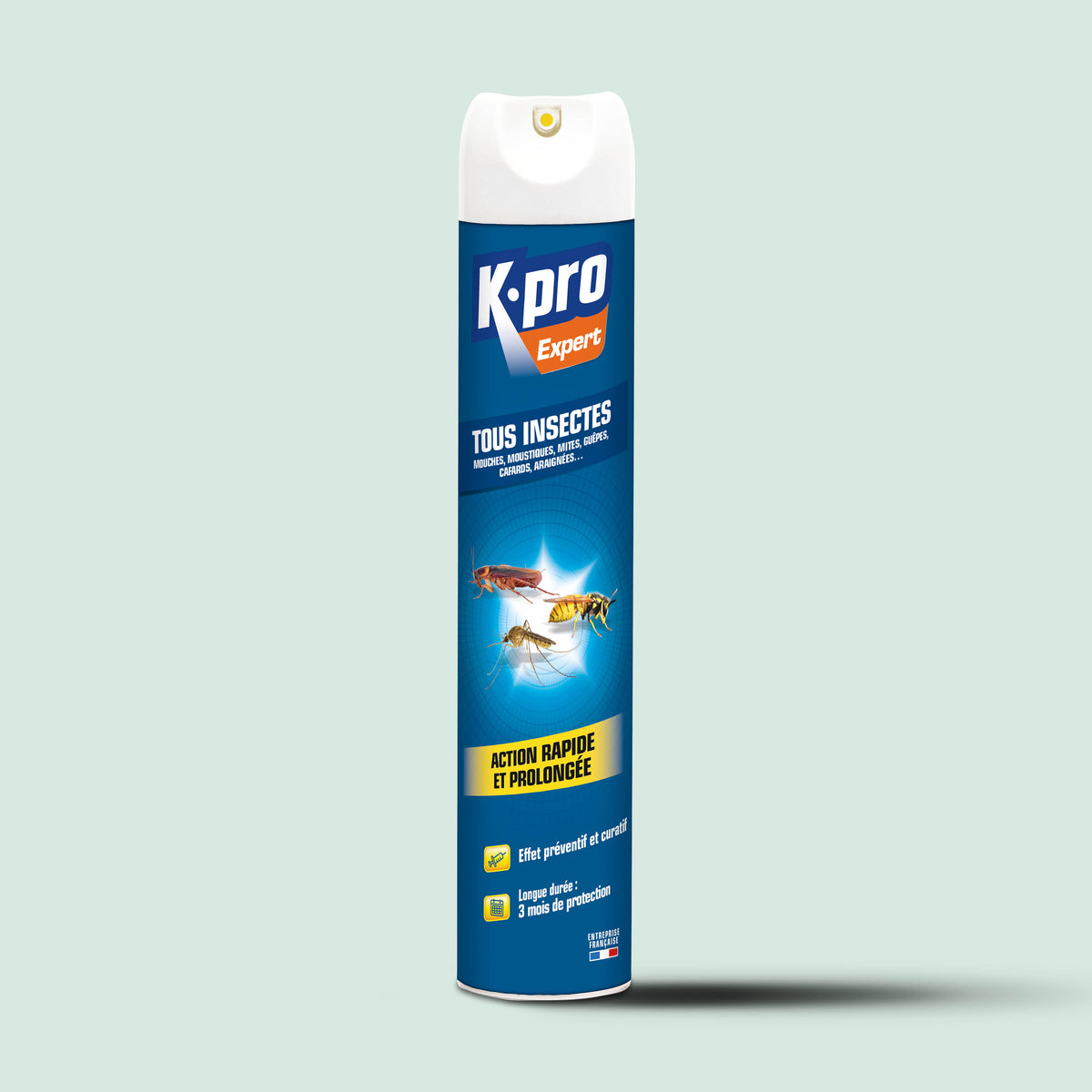 K.PRO - Aérosol tous insectes
300 ml