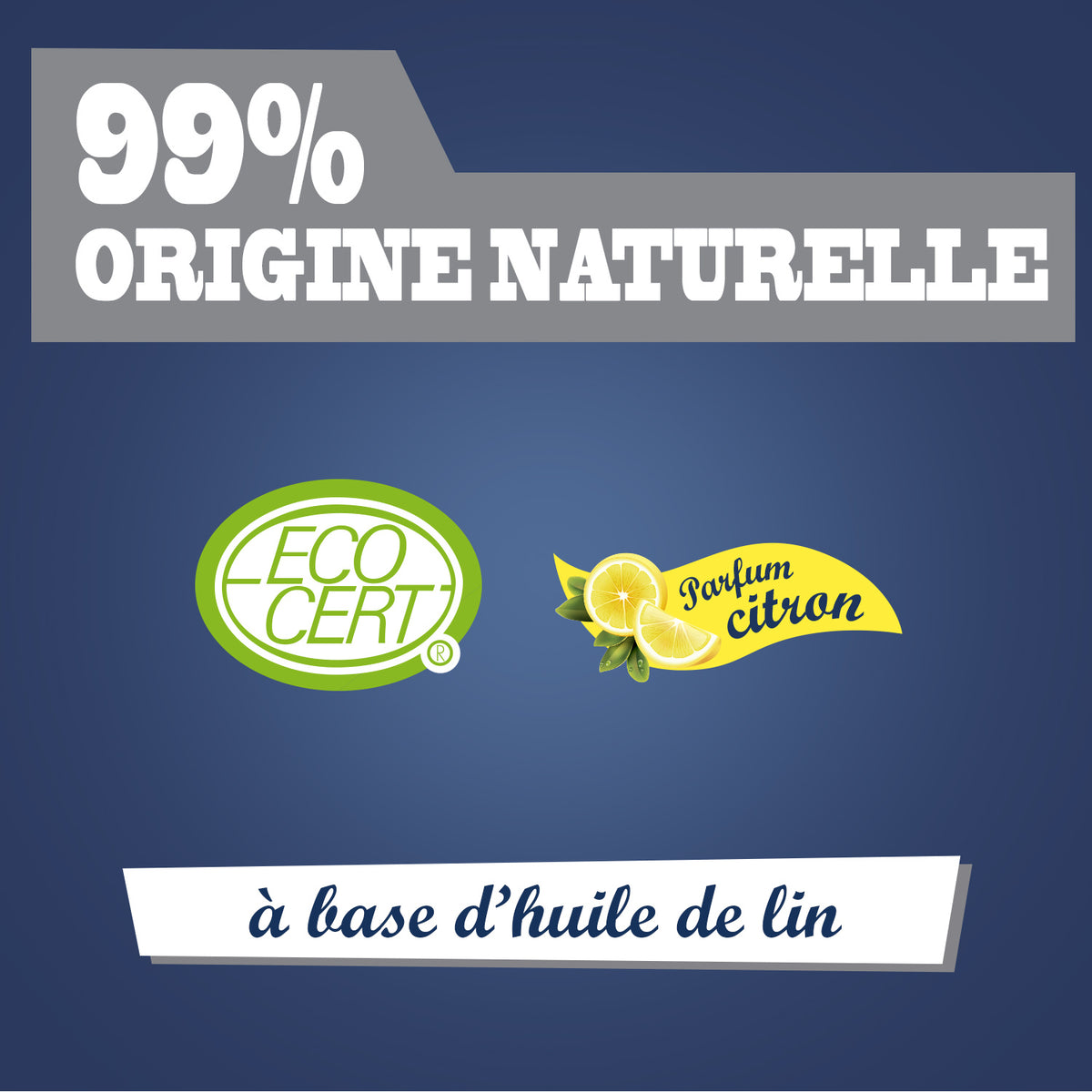 JACQUES BRIOCHIN - Savon noir prêt à l'emploi parfum citron frais 750ml Citron