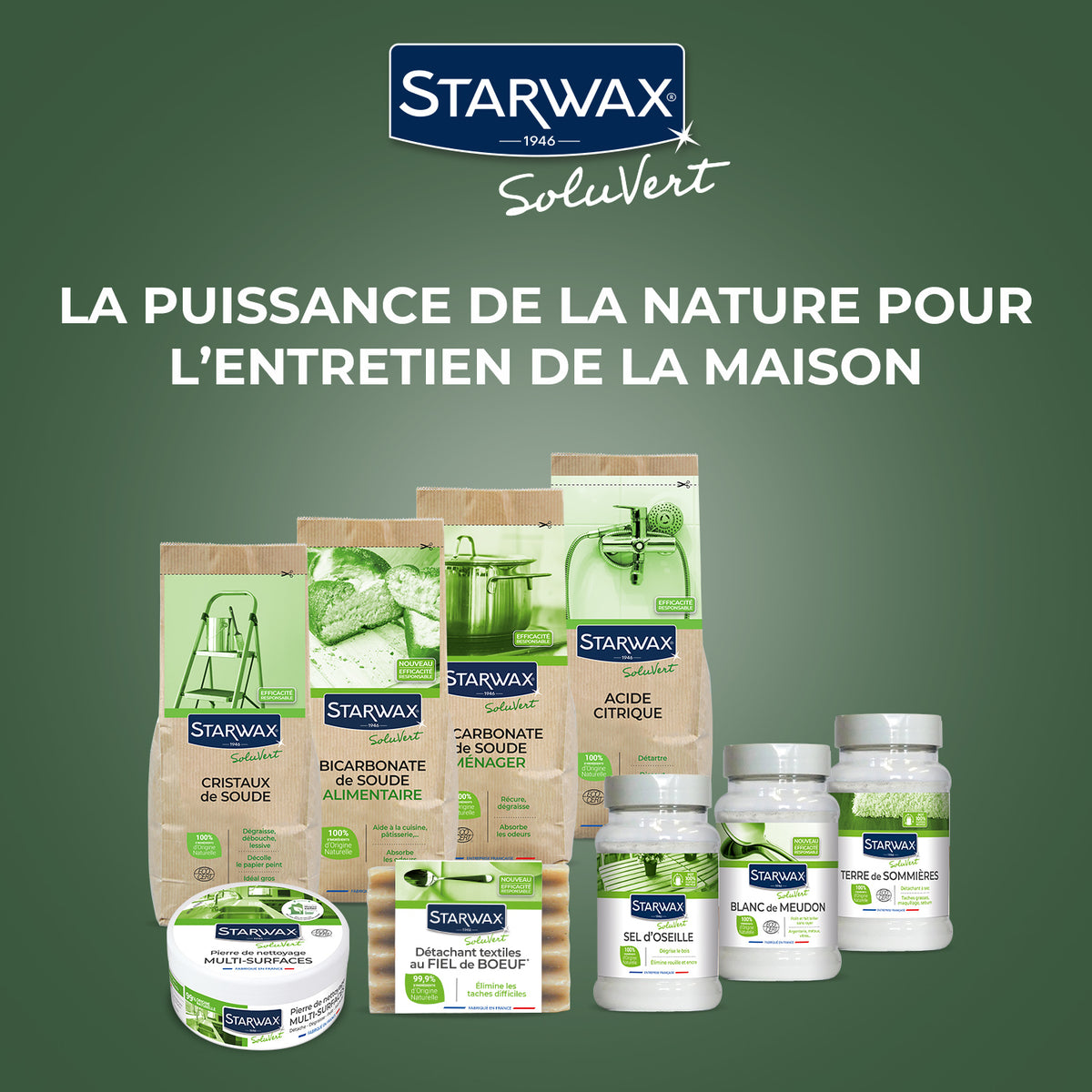 STARWAX SOLUVERT - Savon détachant textile au fiel de boeuf 100g