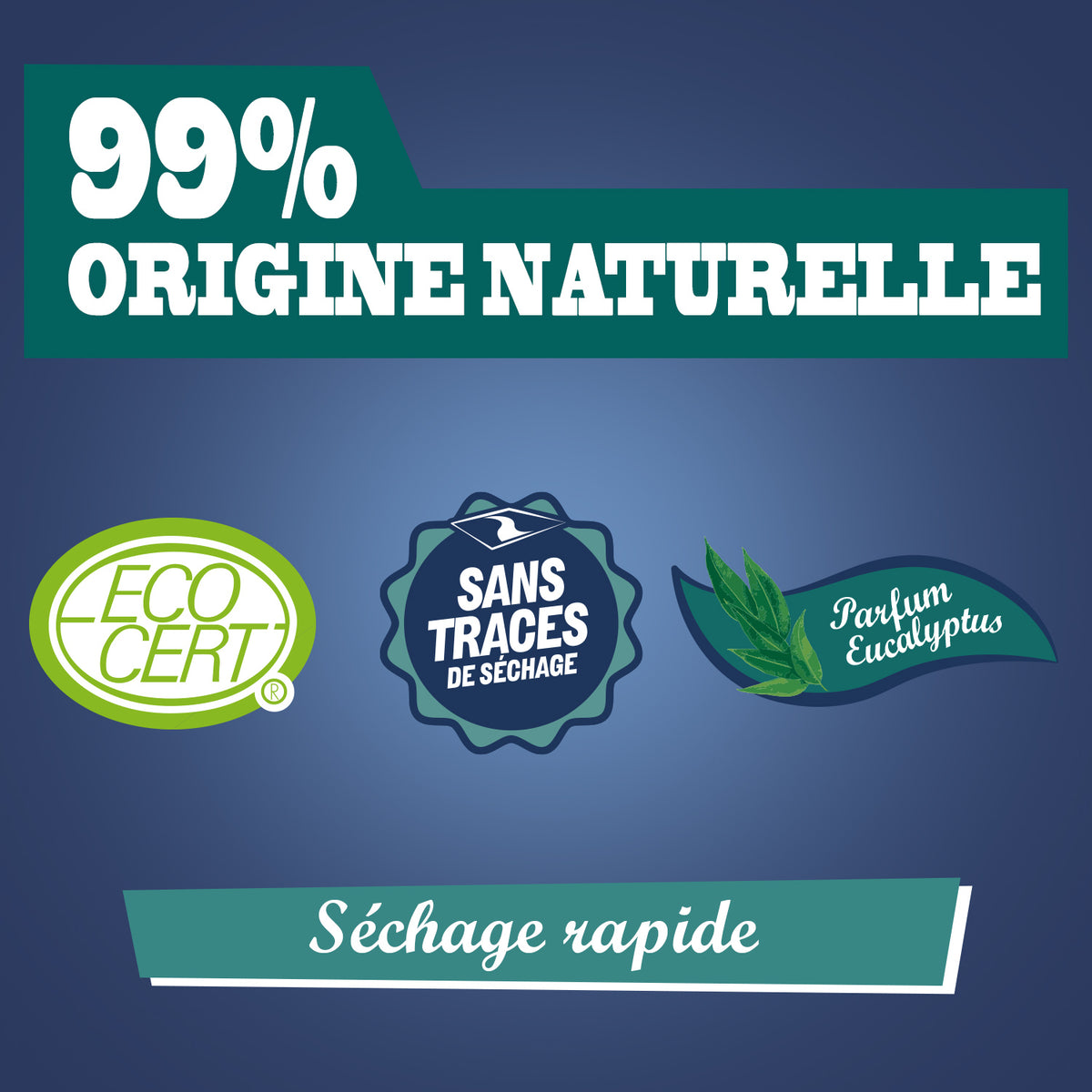 JACQUES BRIOCHIN - Nettoyant Carrelage séchage rapide 1L Eucalyptus